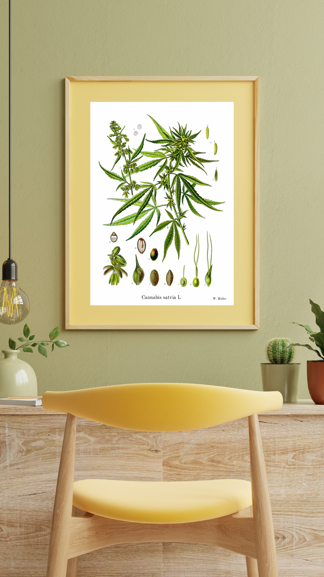Cannabis Satvia Botanical Print