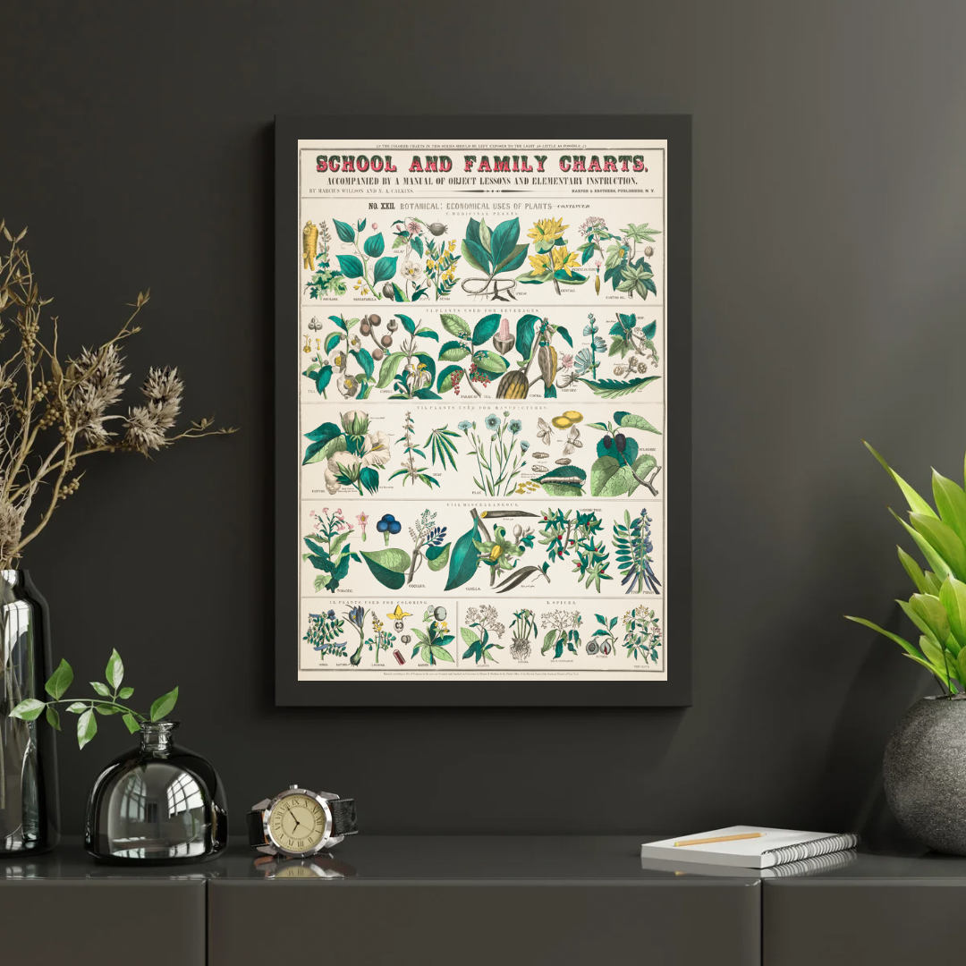 Vintage Botanical Print