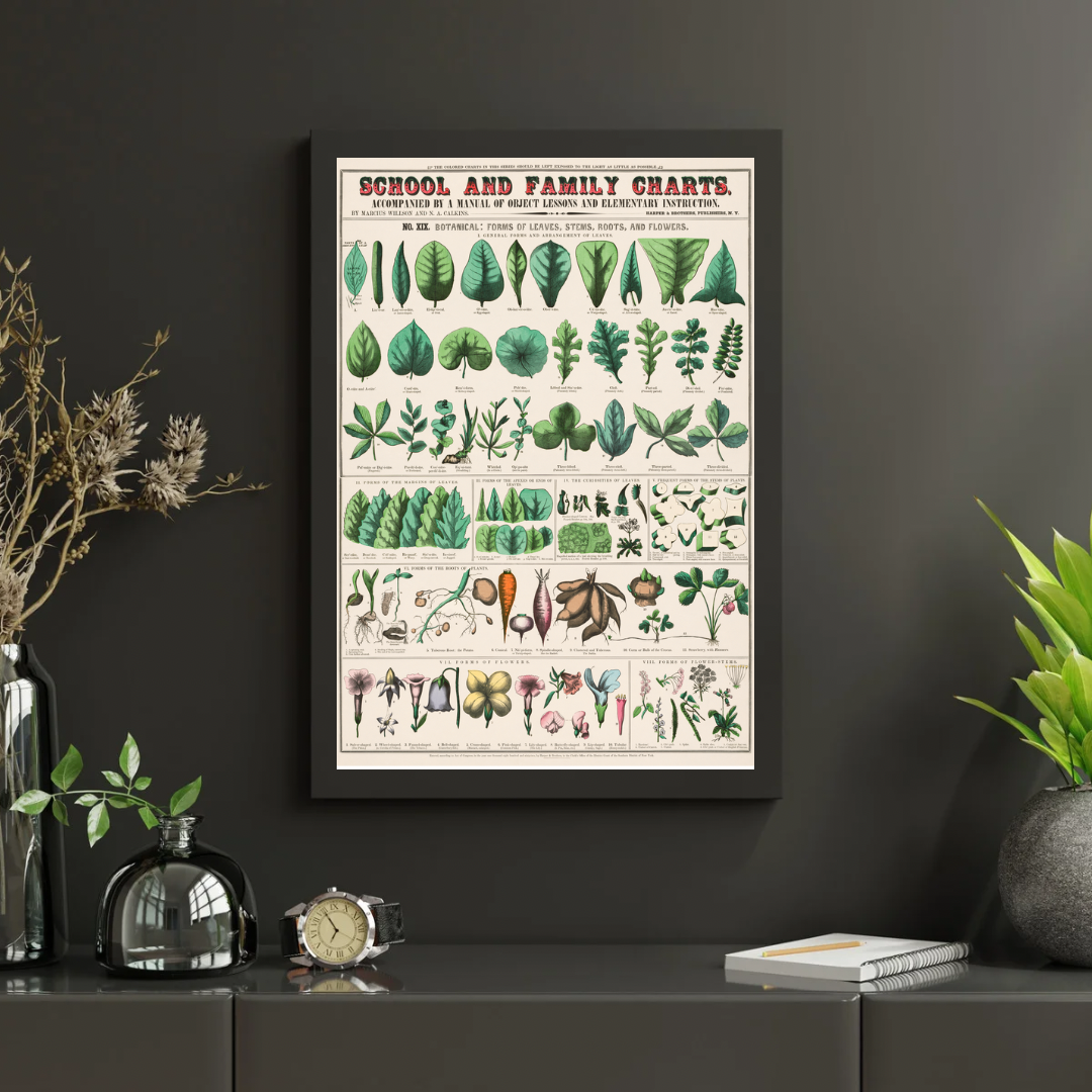 Vintage Botanical Print