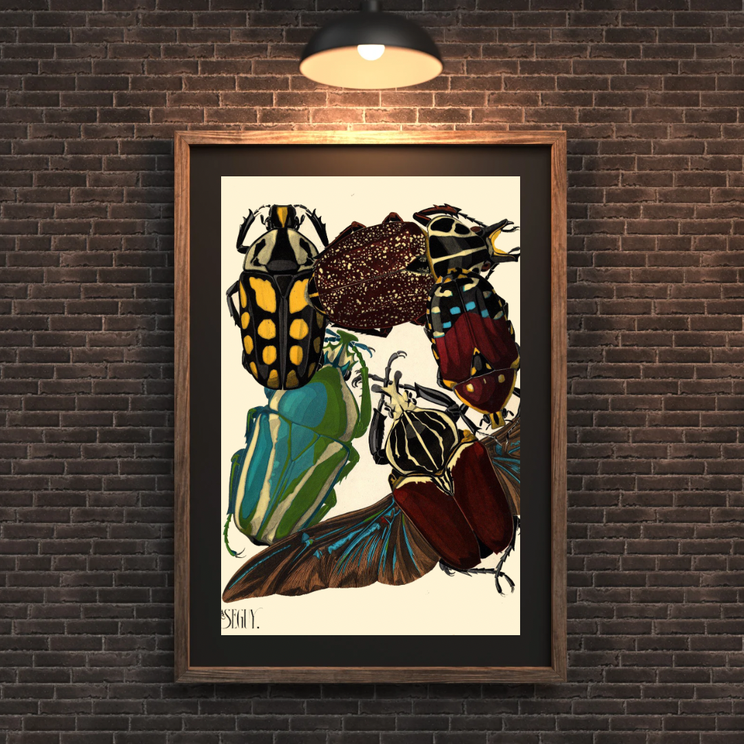 Insect Print, EA Seguy