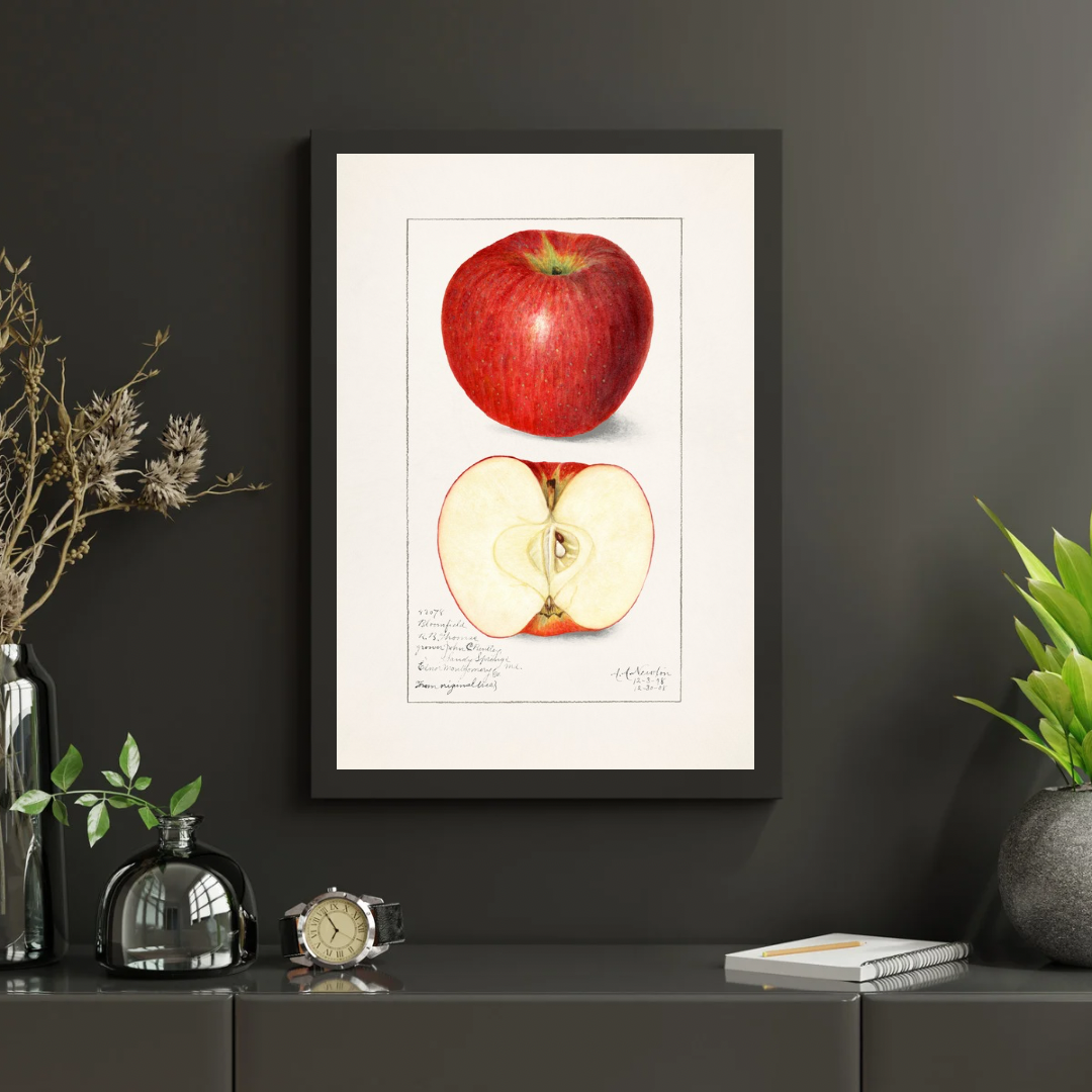 Vintage Apple Print