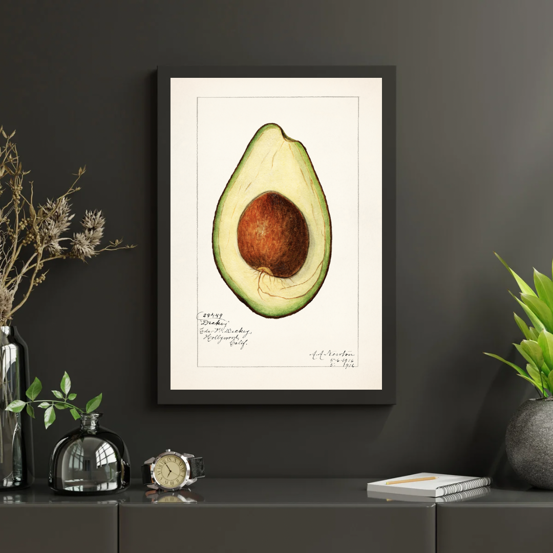Vintage Avocado Print