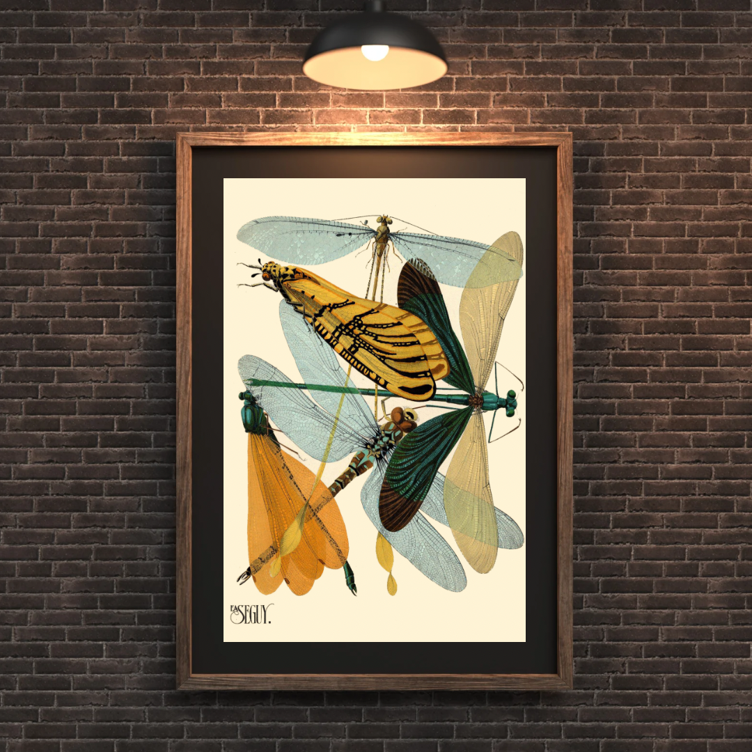 Insect Print, EA Seguy