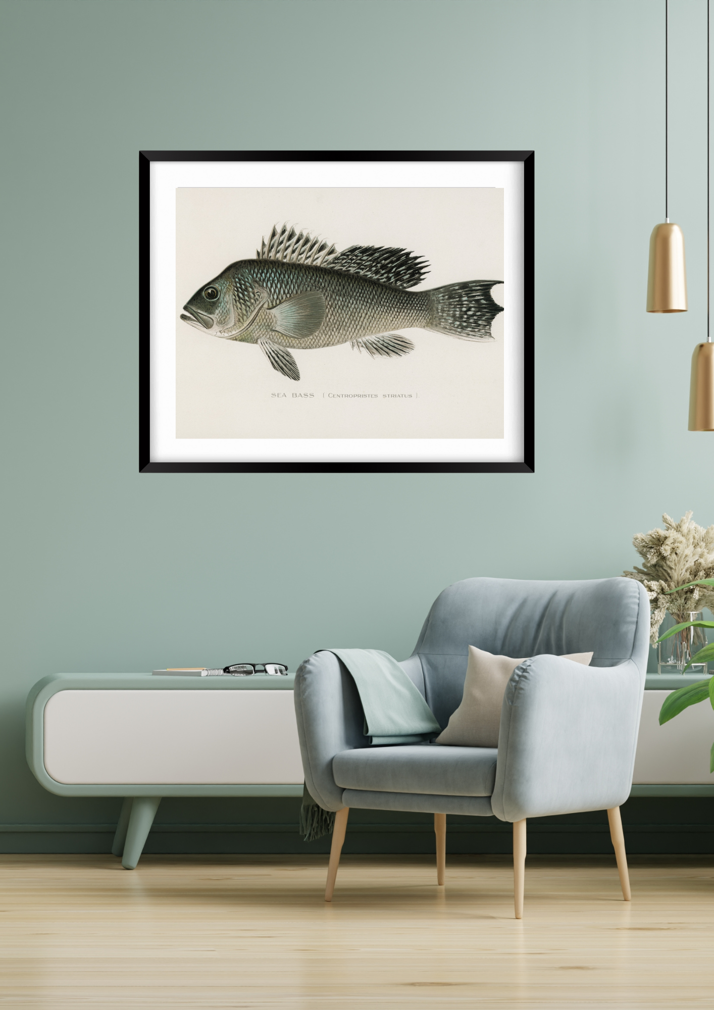 Sea Bass, Fishing Print
