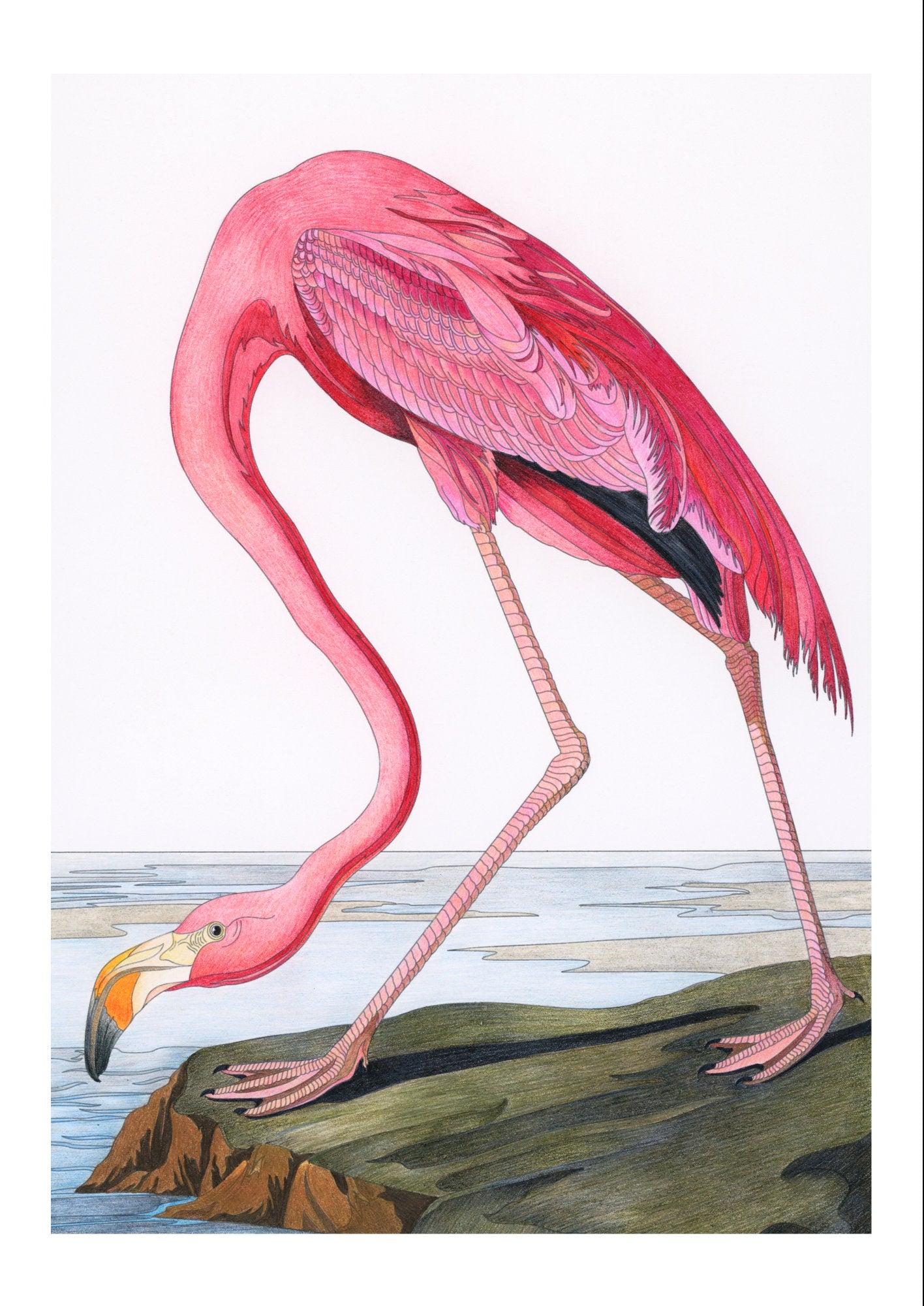 Eclectic Gallery Wall Art Prints: Audubon Flamingo, Hot Air Balloon