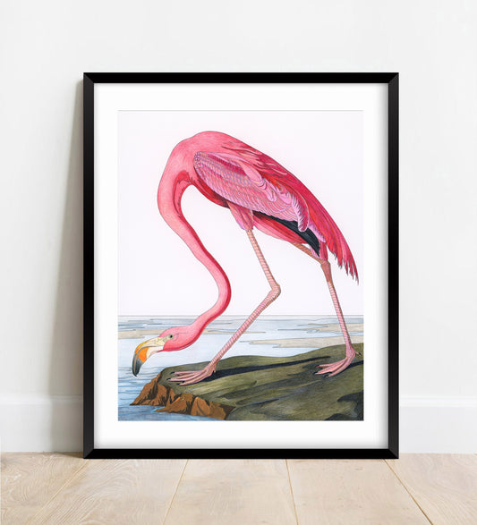 Pink Flamingo Print
