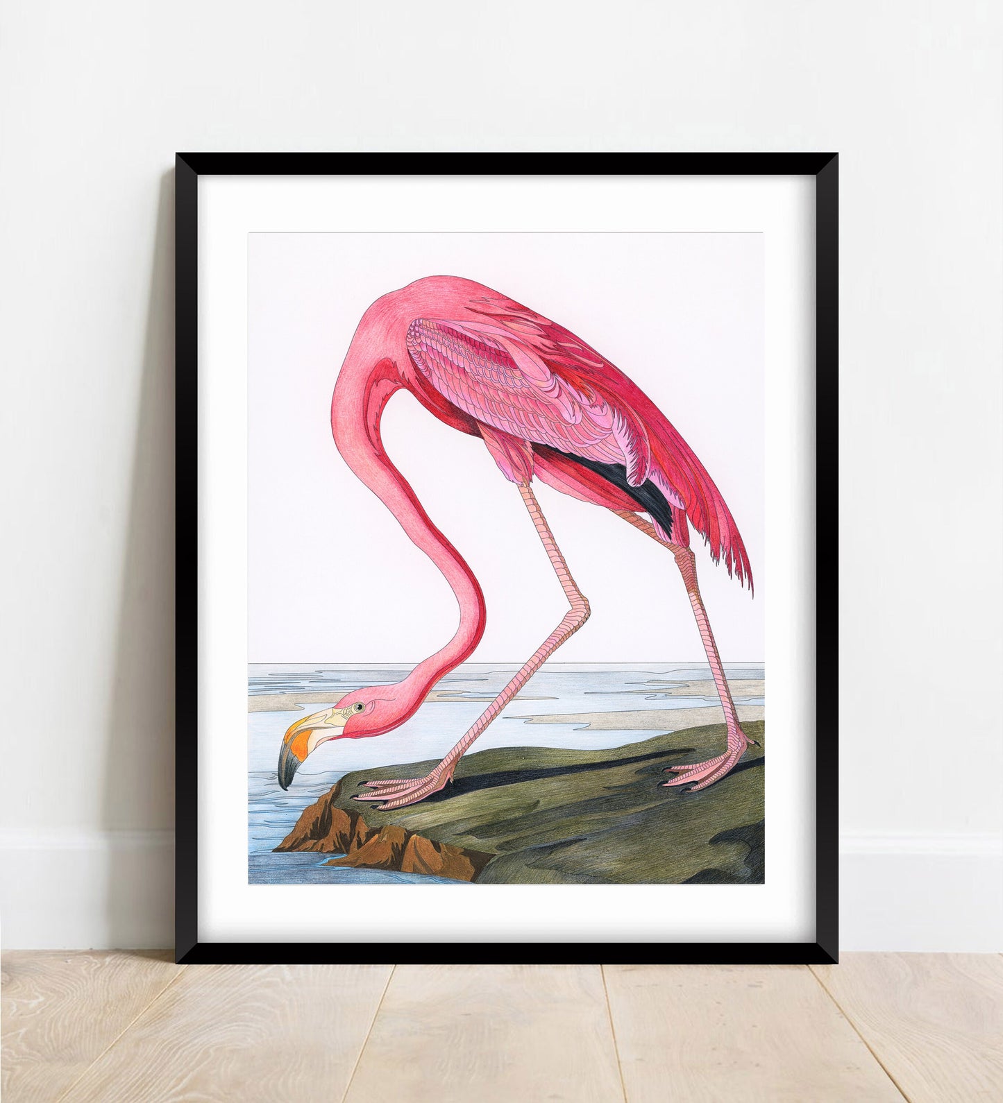 Audubon Pink Flamingo Print: Vintage Bird Illustration (A4/A3)