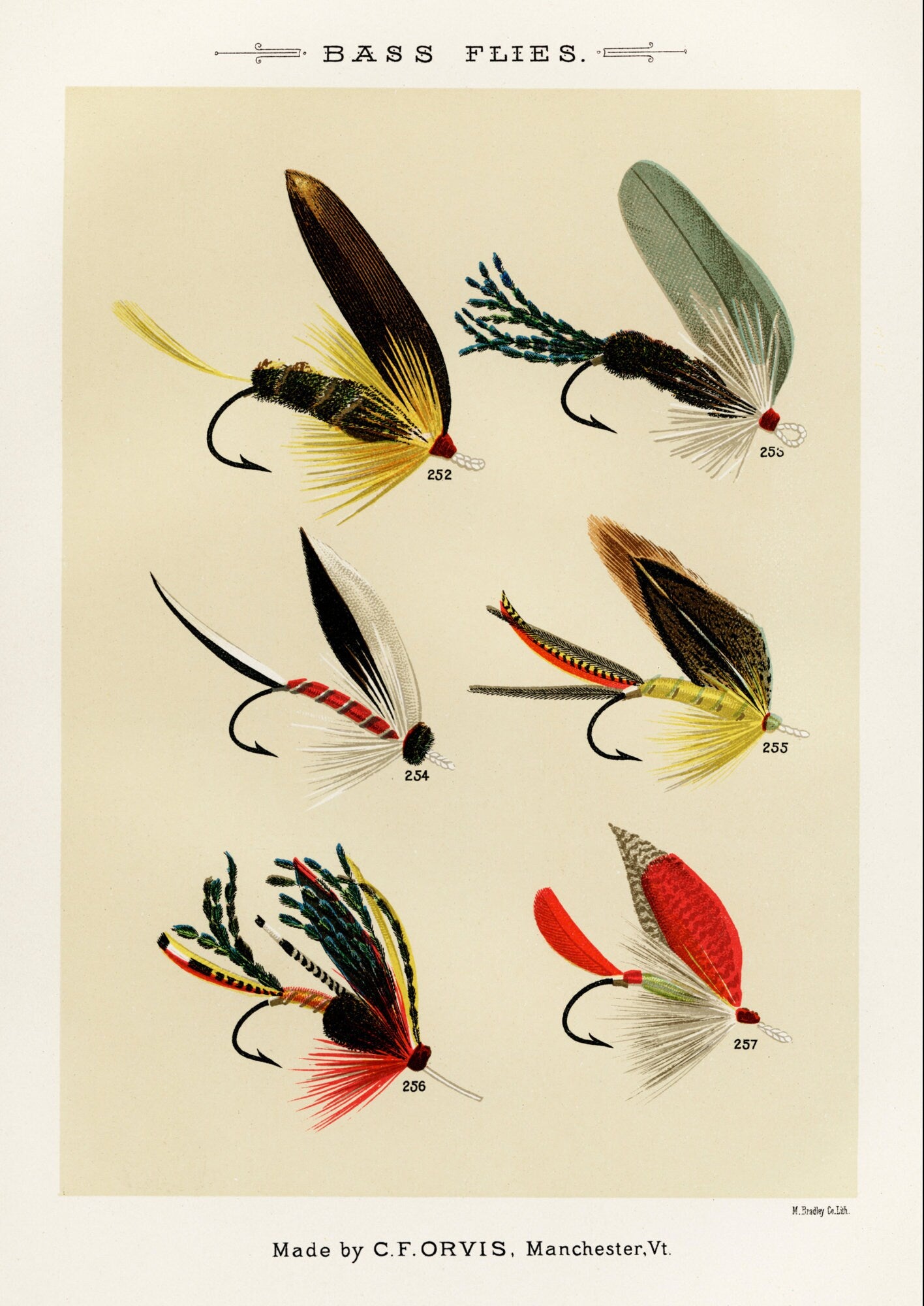Vintage Bass Flies Print: Fishing Wall Art (A4/A3)