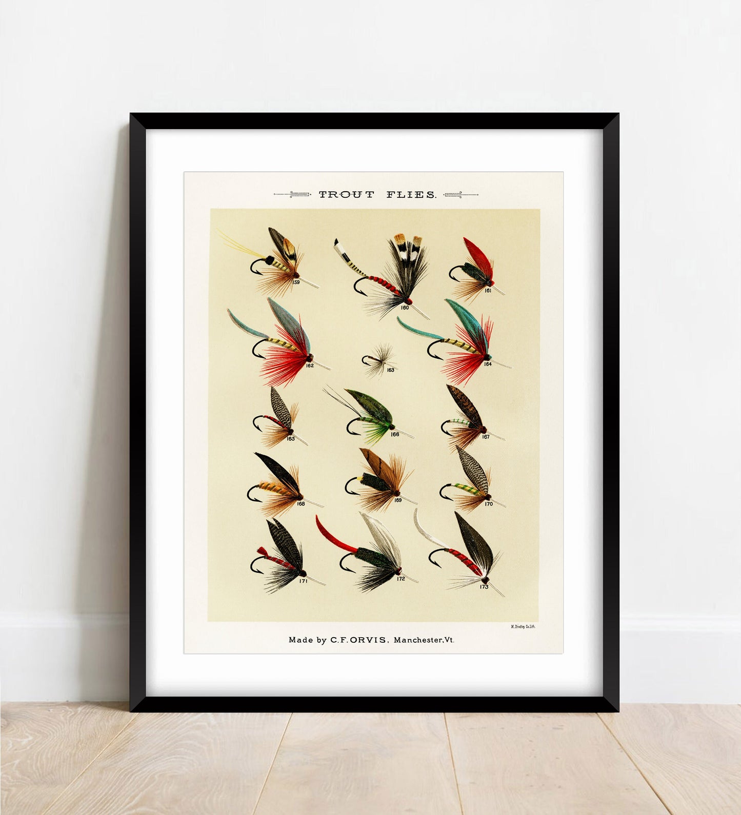 Vintage Trout Flies Print: Angling Wall Art