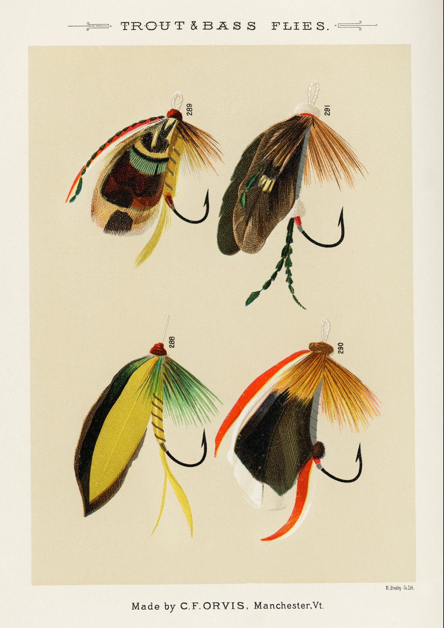 Trout & Bass Flies Vintage Art Print: Angling Gift