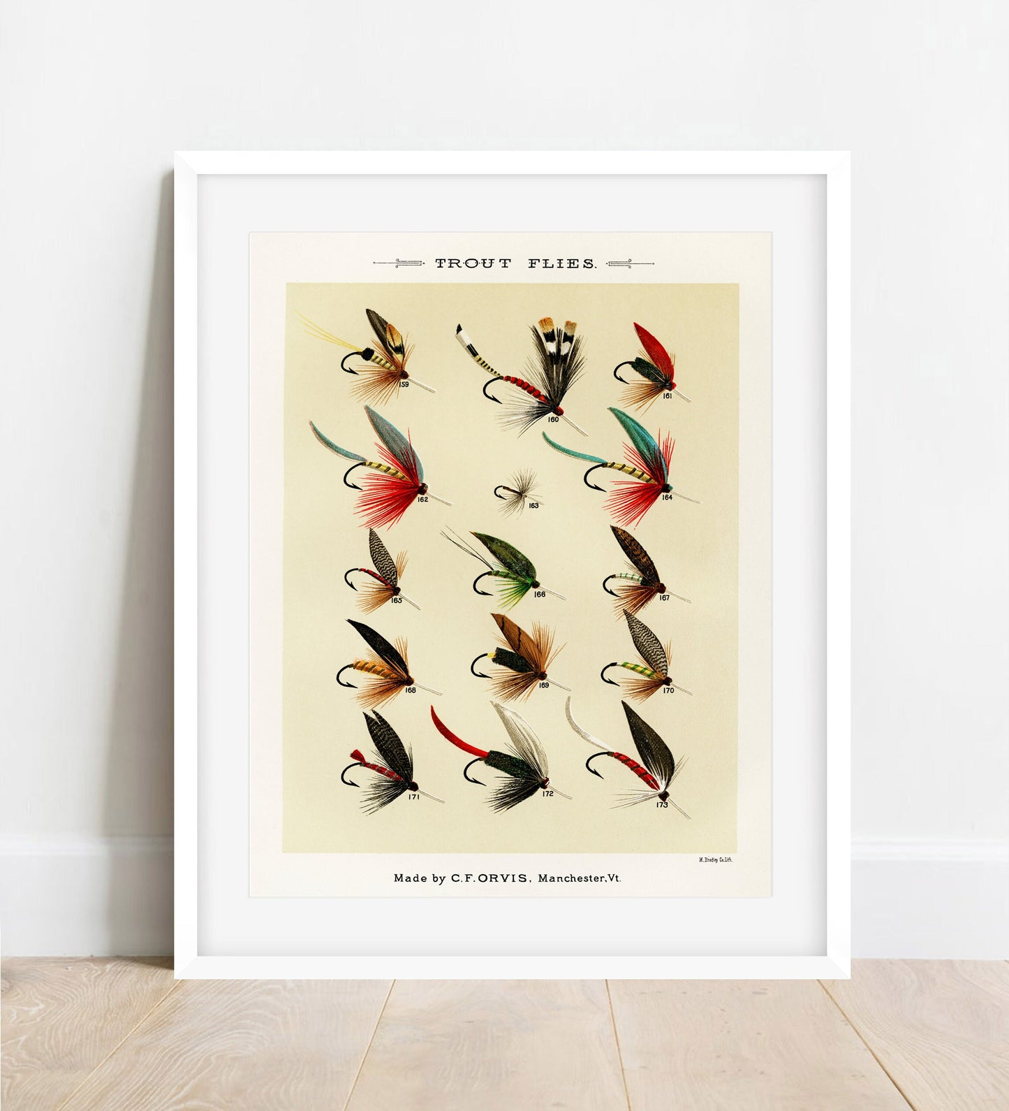 Vintage Trout Flies Print: Angling Wall Art