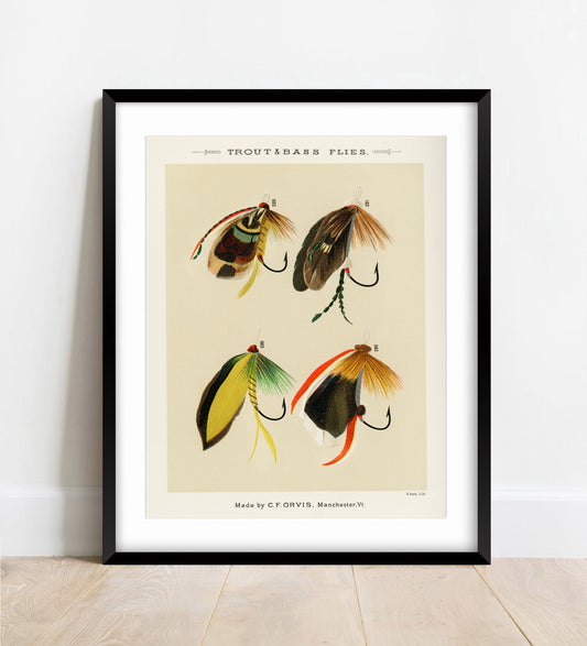 Trout and Bass Flies, Fishing Print