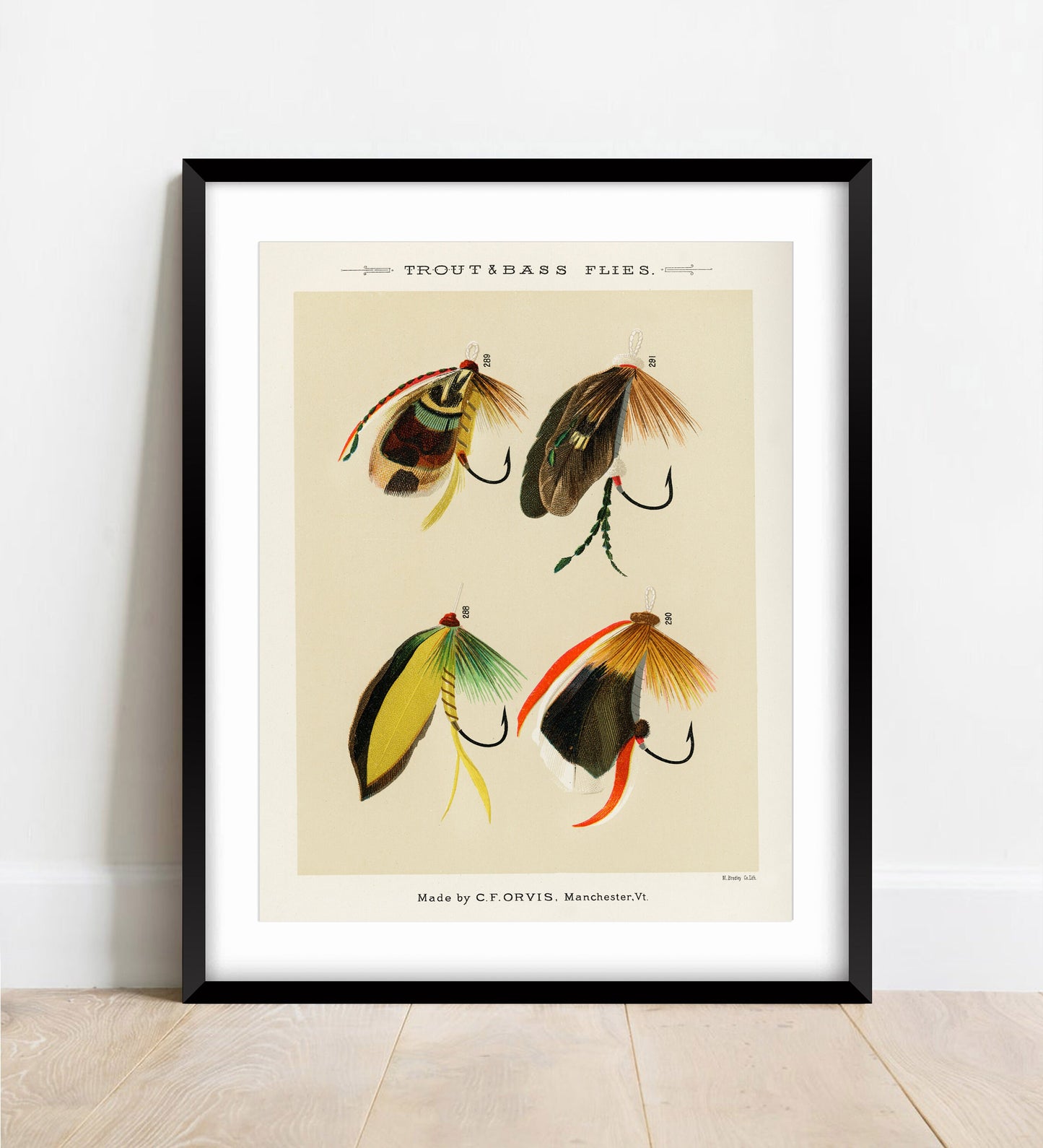 Trout & Bass Flies Vintage Art Print: Angling Gift