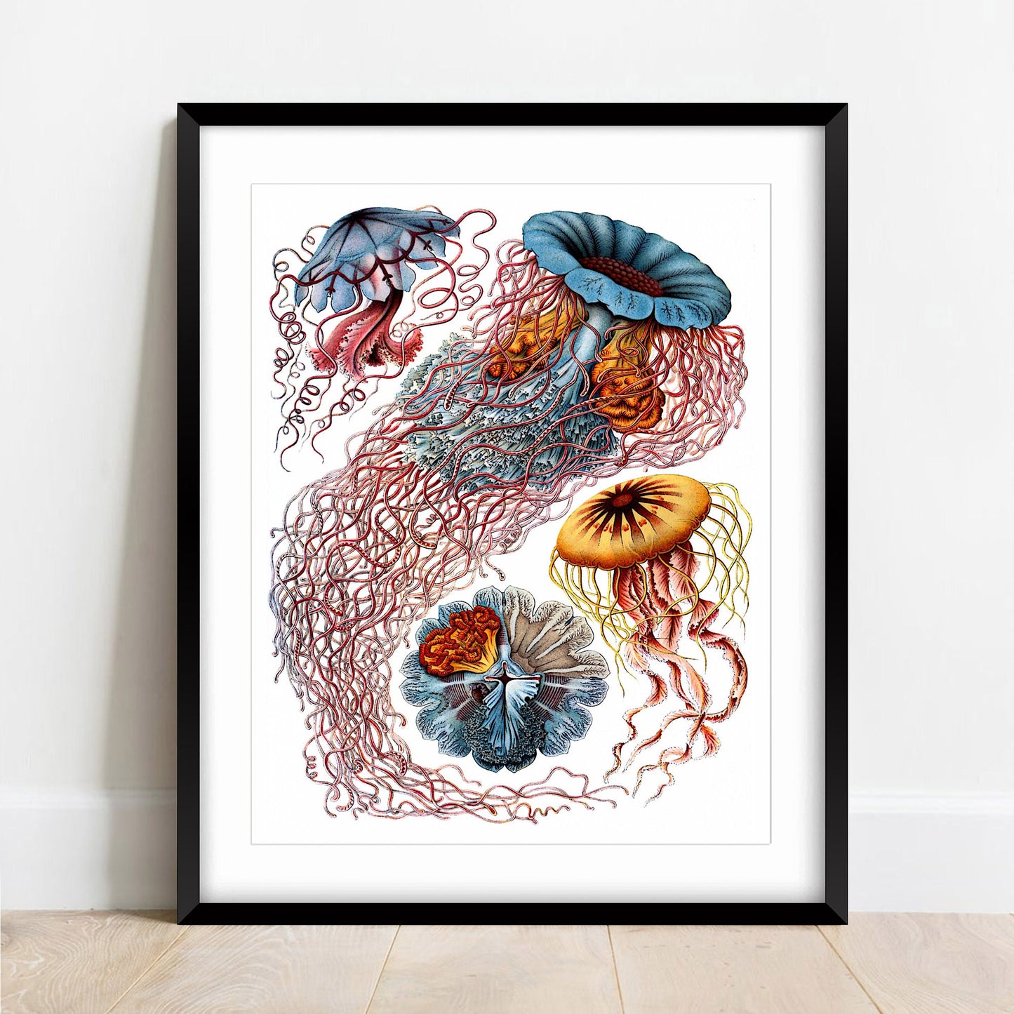 Ernst Haeckel Jellyfish Print: Vintage Marine Art (A4/A3)
