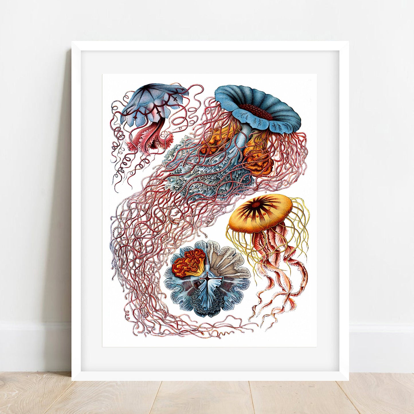 Ernst Haeckel Jellyfish Print: Vintage Marine Art (A4/A3)