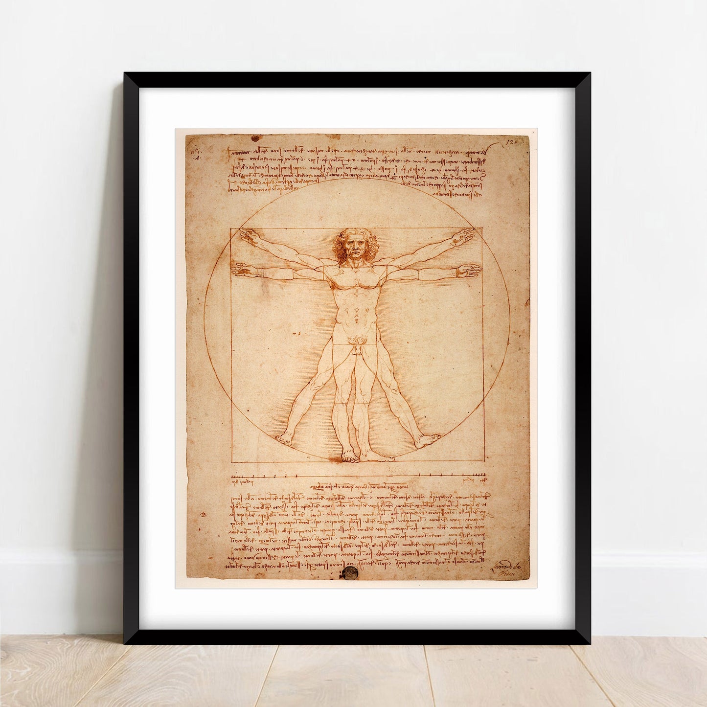 Vitruvian Man drawing by Leonardo Da Vinci, manuscript, renaissance print, poster