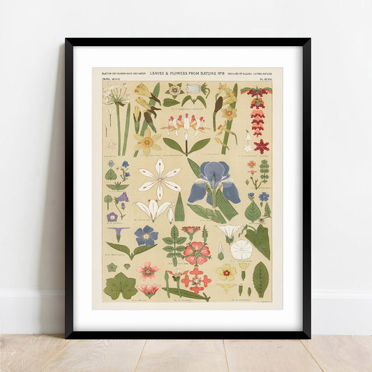 Vintage Leaves and Flowers Print