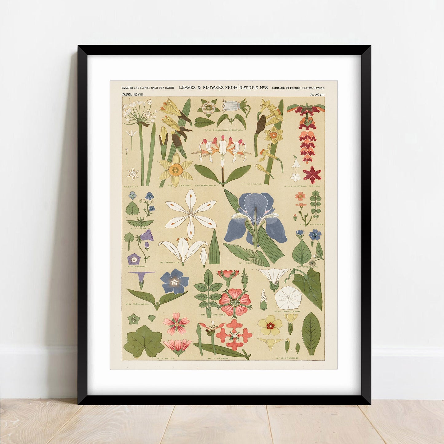 Owen Jones Vintage Botanical Print: Leaves & Flowers Wall Art