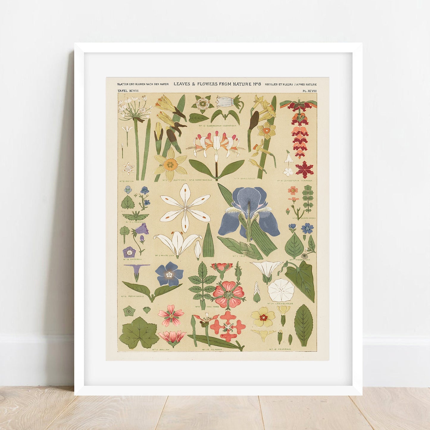 Owen Jones Vintage Botanical Print: Leaves & Flowers Wall Art