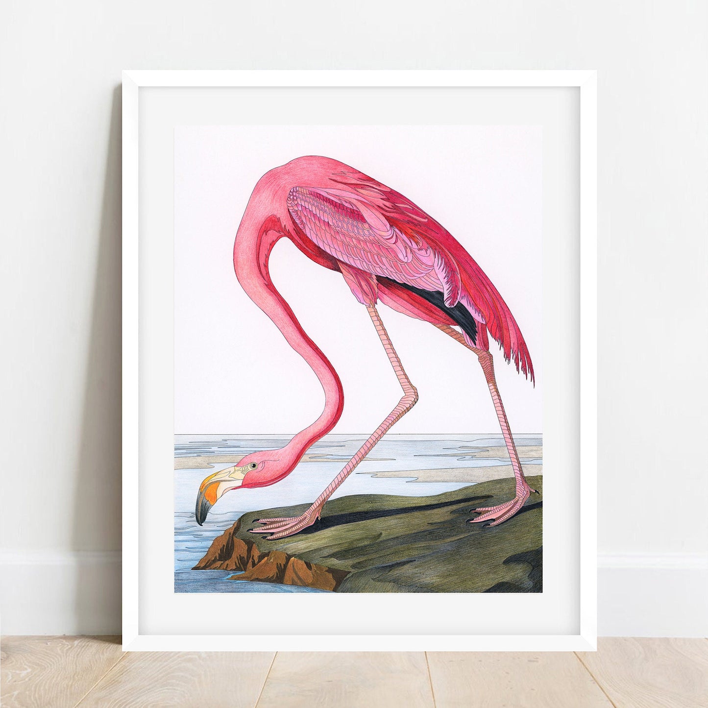 Audubon Pink Flamingo Print: Vintage Bird Illustration (A4/A3)