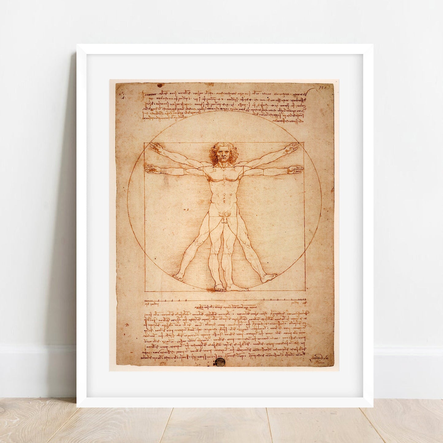 Vitruvian Man drawing by Leonardo Da Vinci, manuscript, renaissance print, poster
