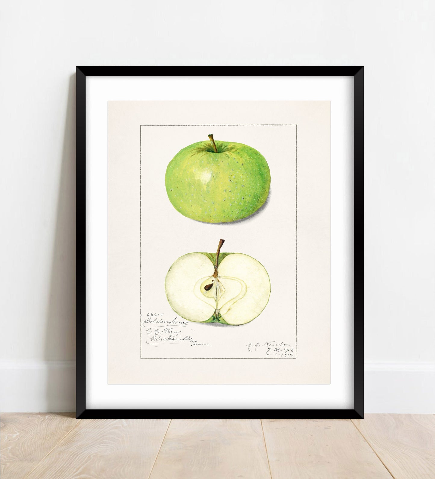 Vintage Apple Botanical Print: Kitchen Wall Art