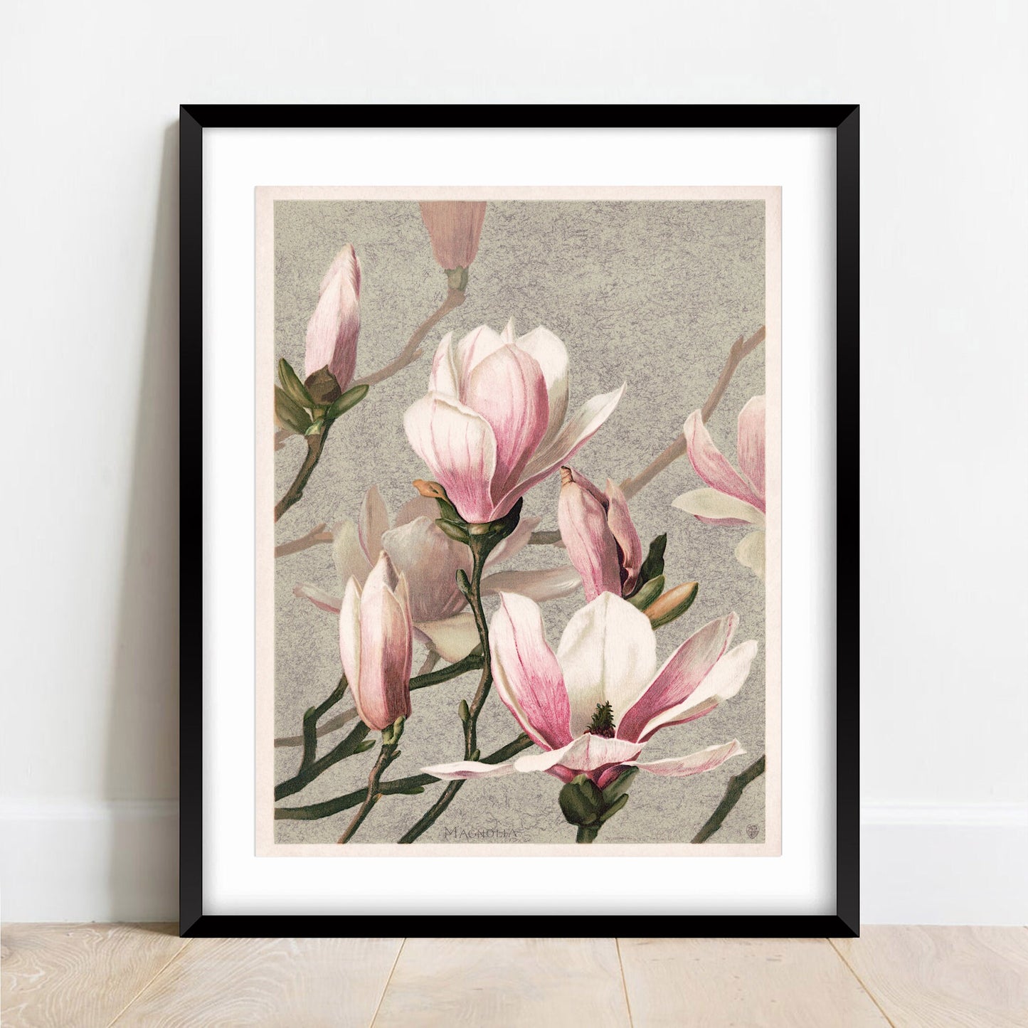 Vintage Magnolia Art Print: Floral Botanical Wall Art Poster