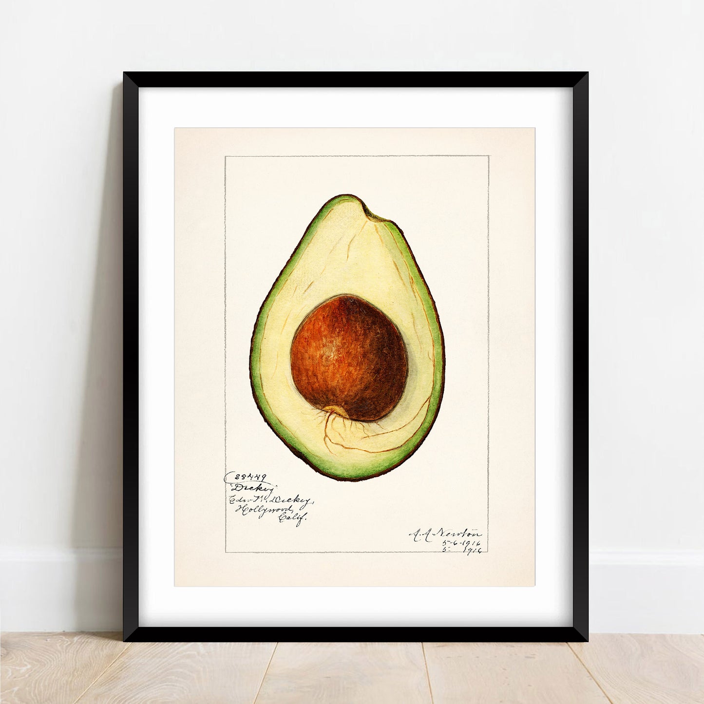 Vintage Avocado Print: A A Newton Kitchen Wall Art