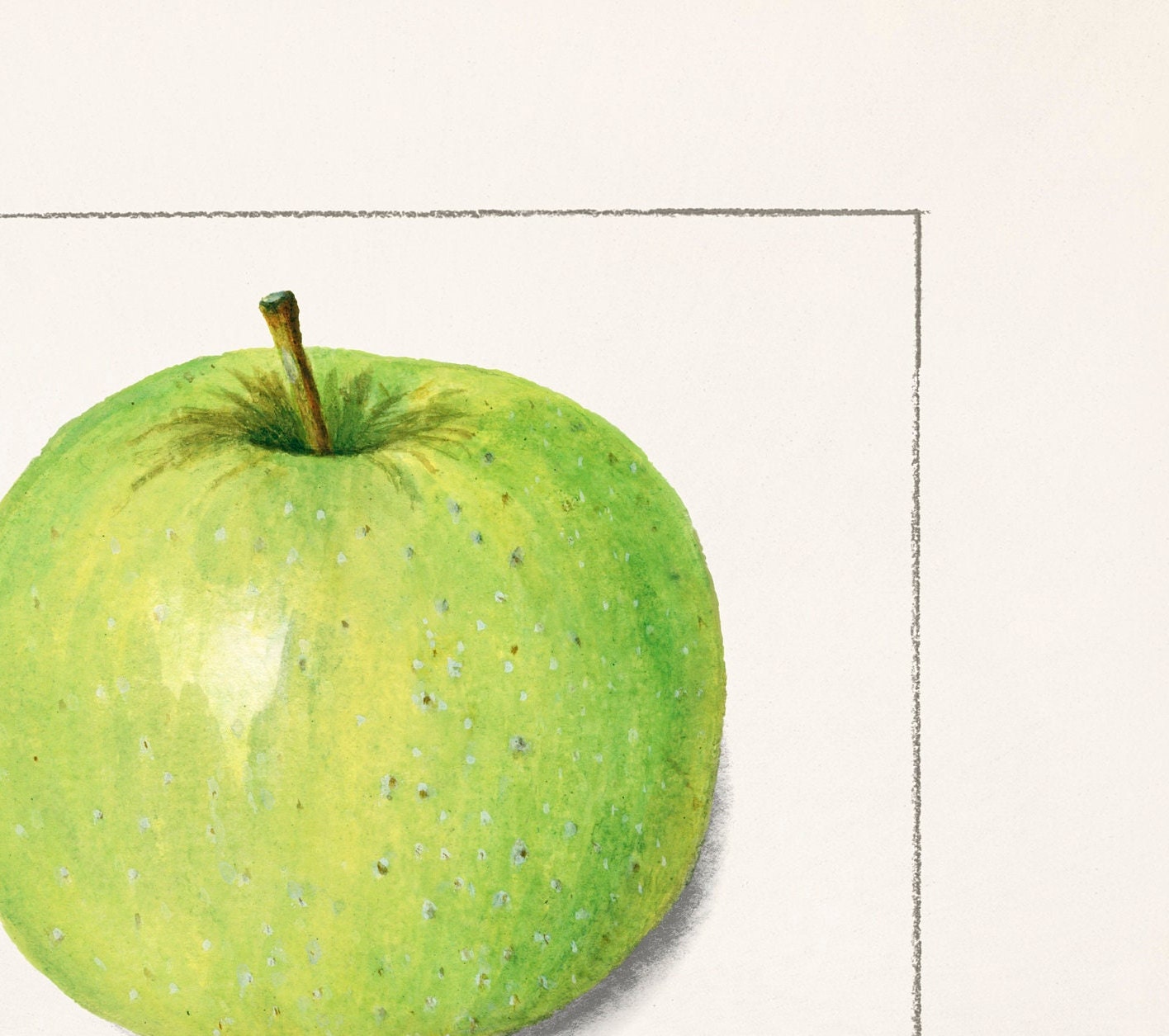 Vintage Apple Botanical Print: Kitchen Wall Art