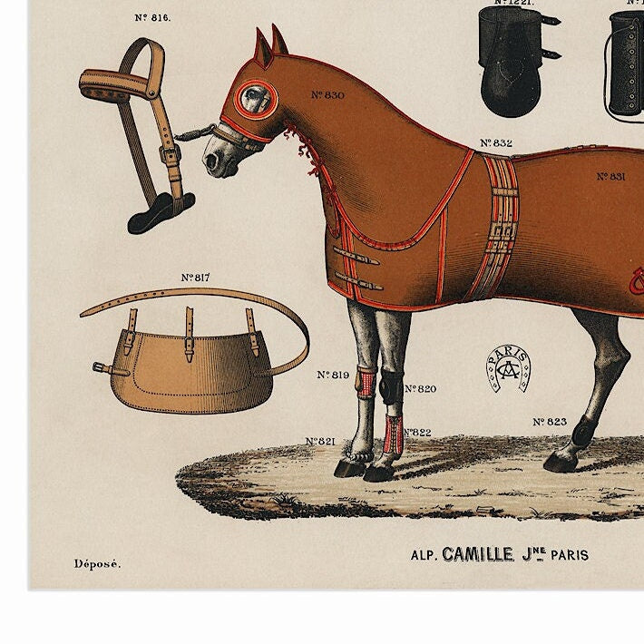 Antique Horse Riding Equipment Art Print: Equestrian Chromolithograph