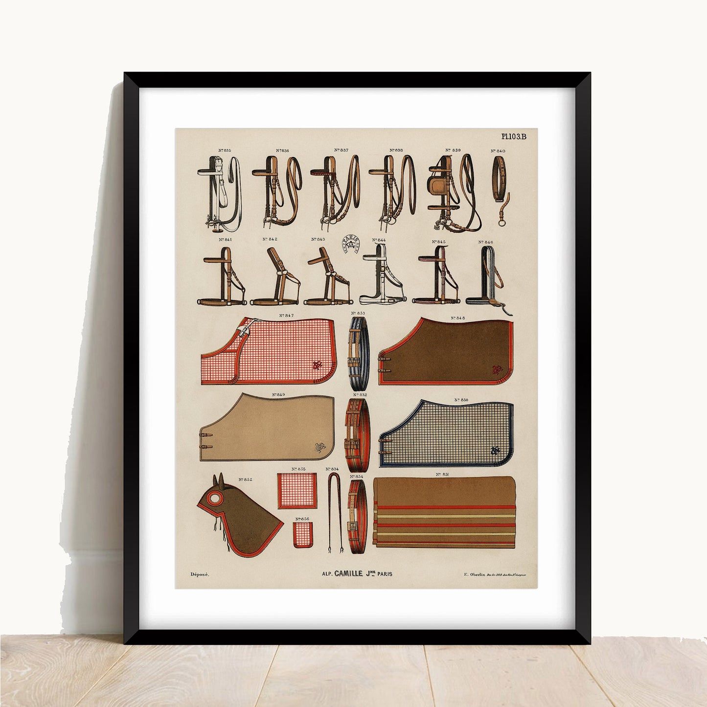 Antique Horse Riding Equipment Art Print: Equestrian Illustration