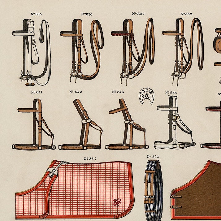 Antique Horse Riding Equipment Art Print: Equestrian Illustration