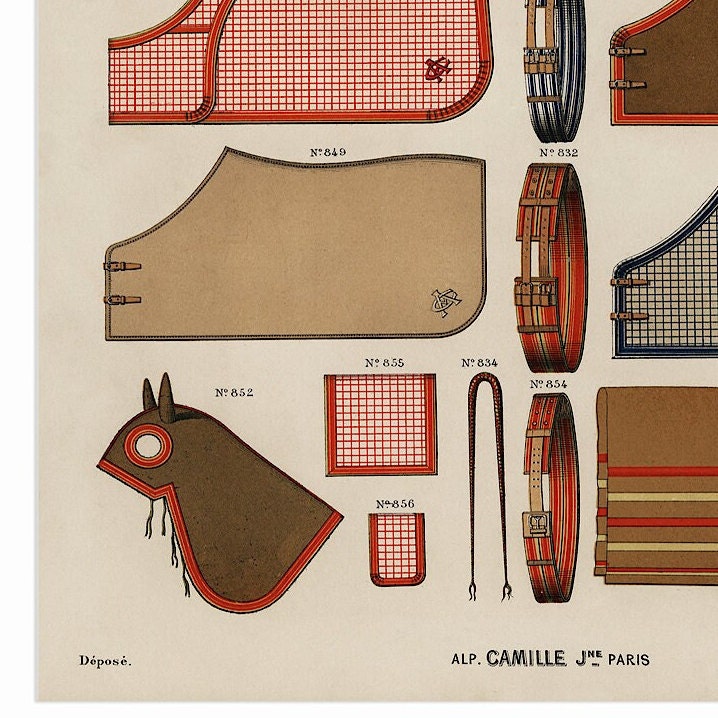 Antique Horse Riding Equipment Art Print: Equestrian Illustration
