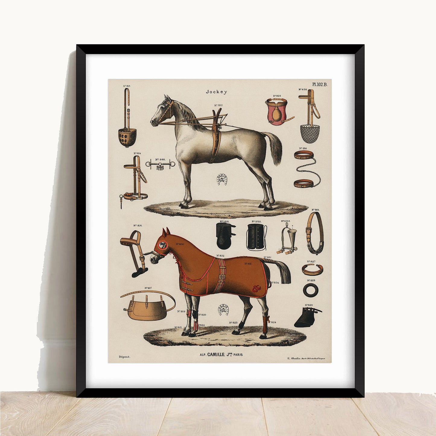 Antique Horse Riding Equipment Art Print: Equestrian Chromolithograph