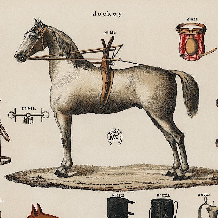 Antique Horse Riding Equipment Art Print: Equestrian Chromolithograph