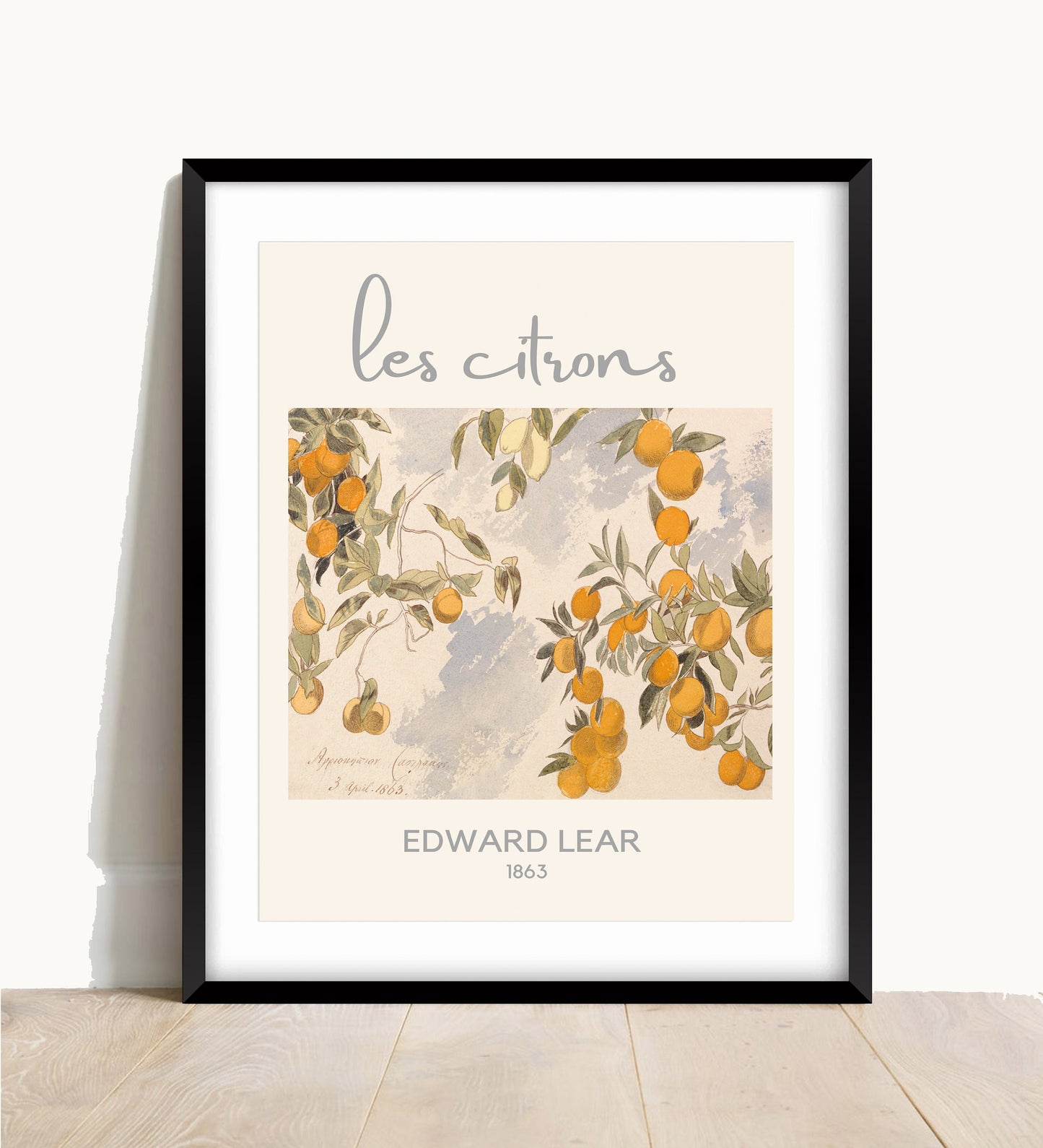 Edward Lear 'Les Citrons' Print: Vintage French Fruit Tree Art