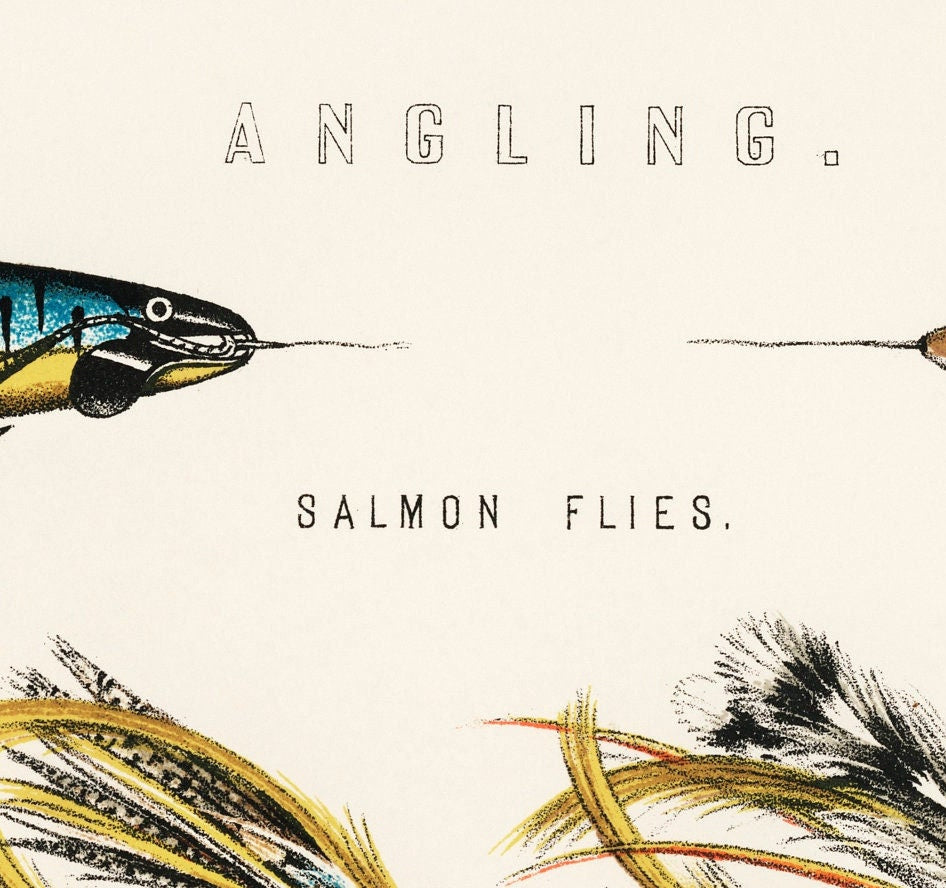 Vintage Angling Print: Salmon & Trout Flies Illustration
