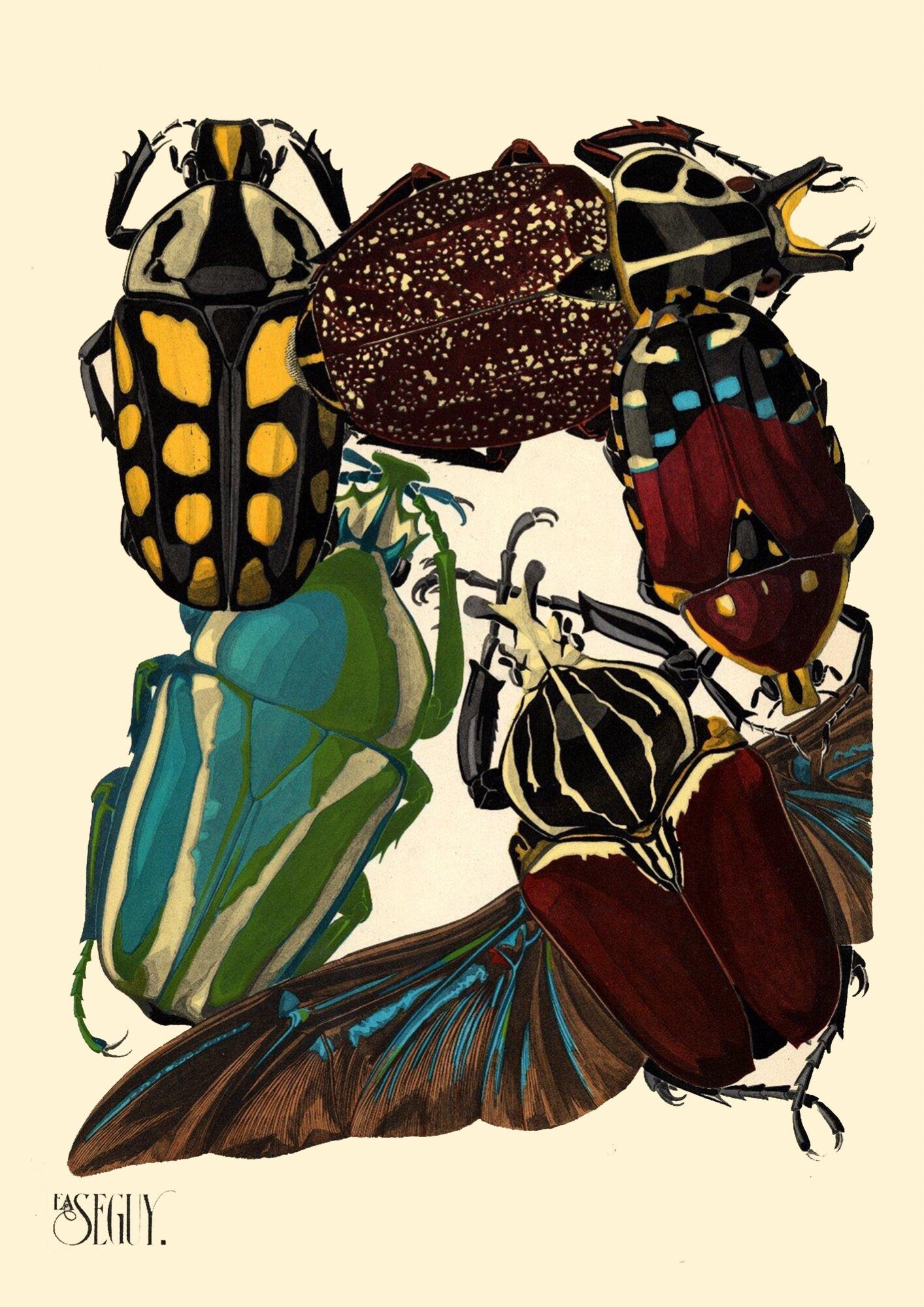 EA Seguy Insect Print: Art Deco Beetles Poster