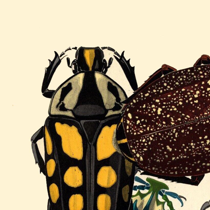 EA Seguy Insect Print: Art Deco Beetles Poster