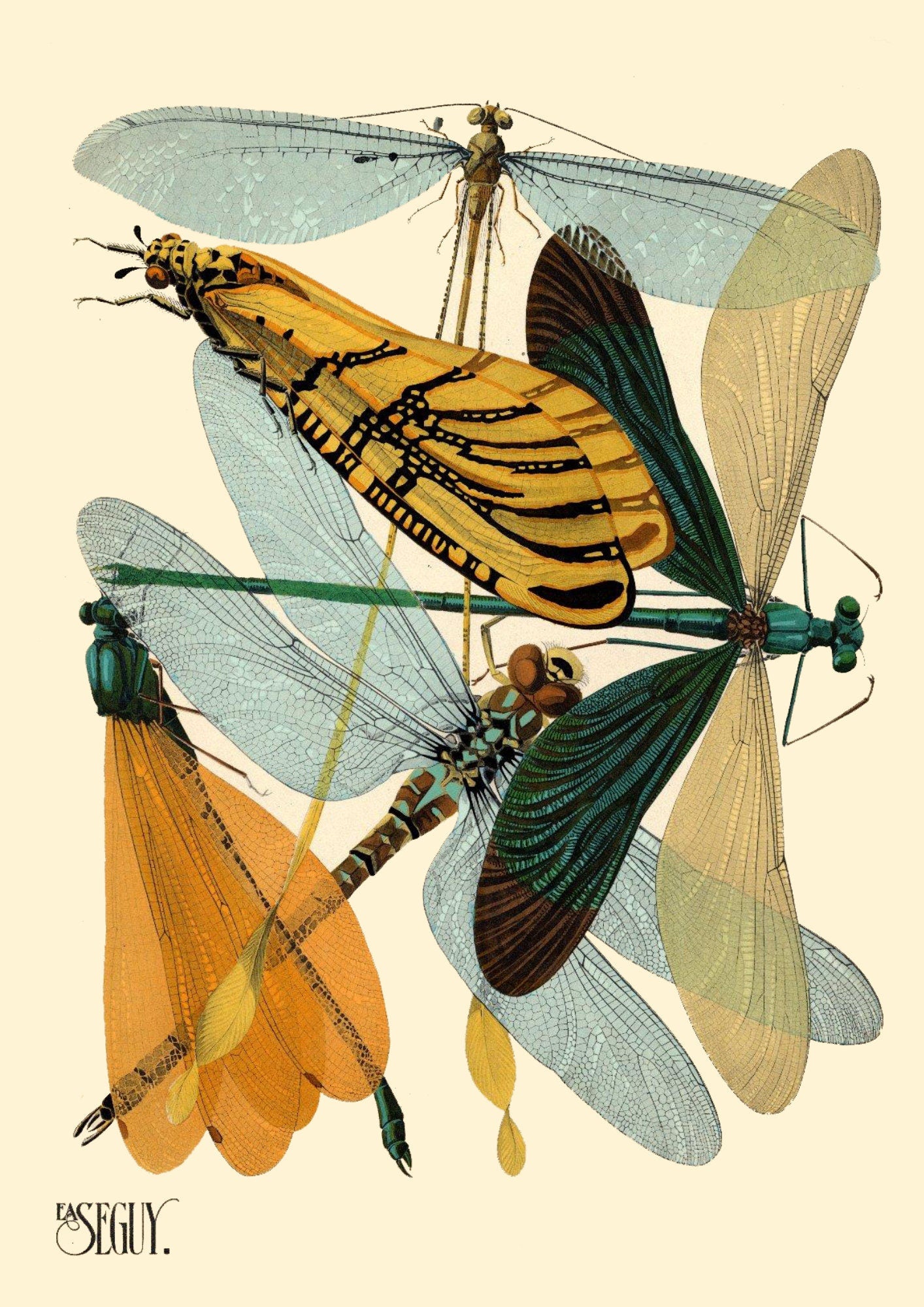EA Seguy Insect Print: Art Deco Dragonfly Poster