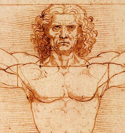 Vitruvian Man drawing by Leonardo Da Vinci, manuscript, renaissance print, poster