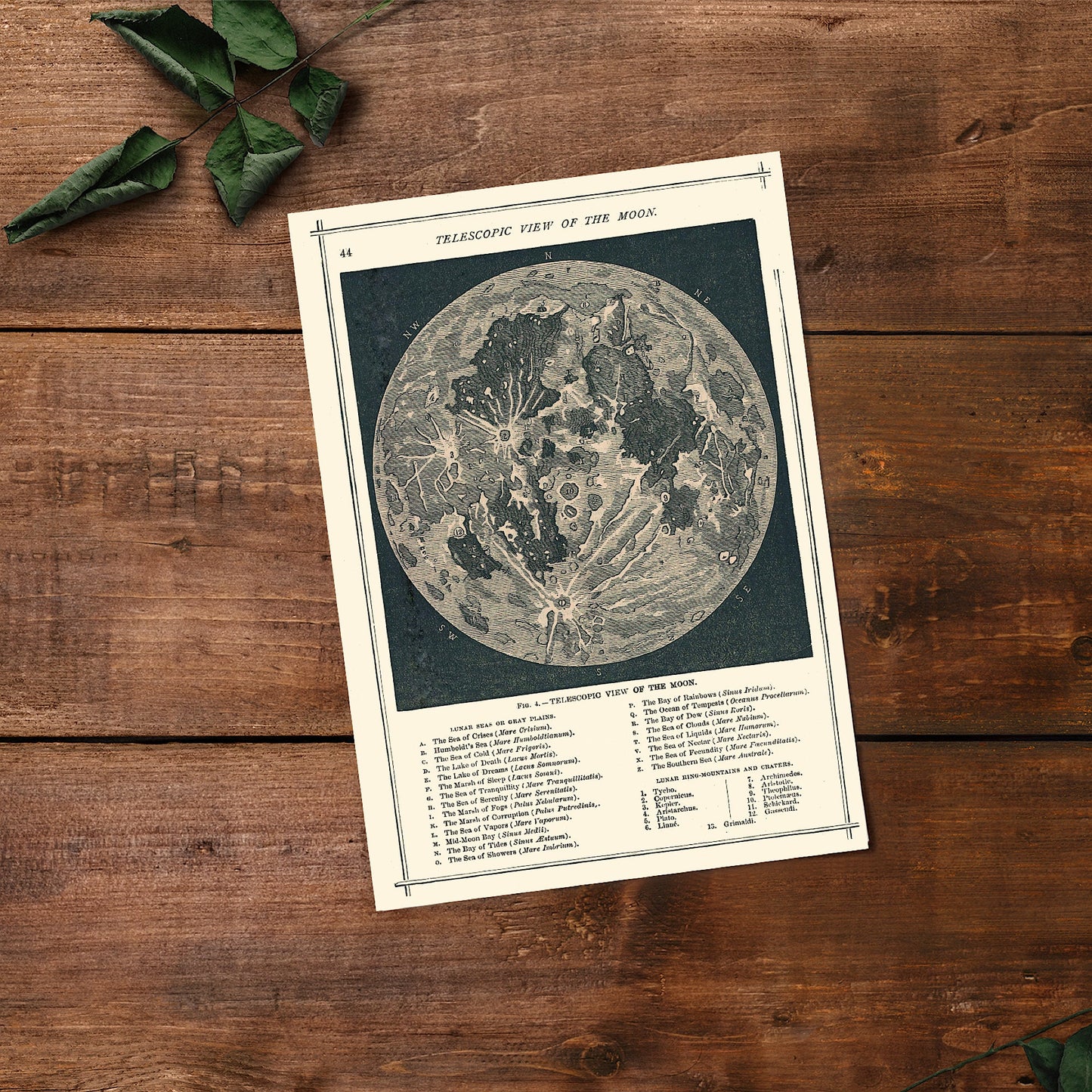 Vintage Moon Map Print: 1866 Antique Lunar Astronomy Poster