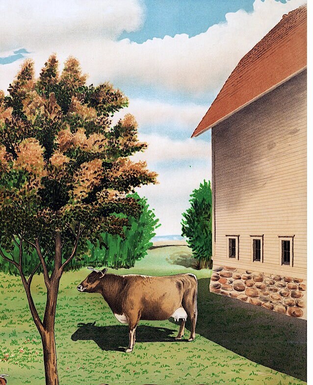 Vintage Cows Print: Holstein, Jersey, Ayrshire, Short-horn (A4/A3)