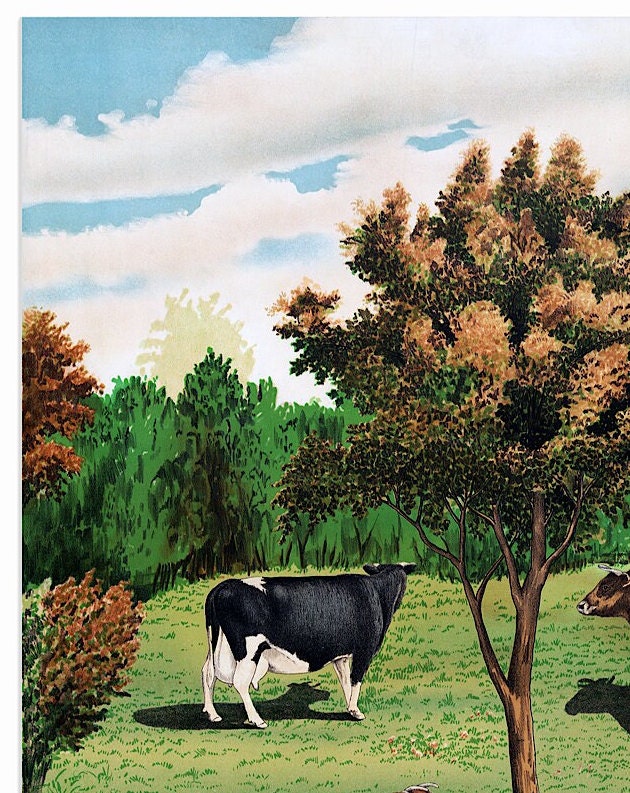Vintage Cows Print: Holstein, Jersey, Ayrshire, Short-horn (A4/A3)