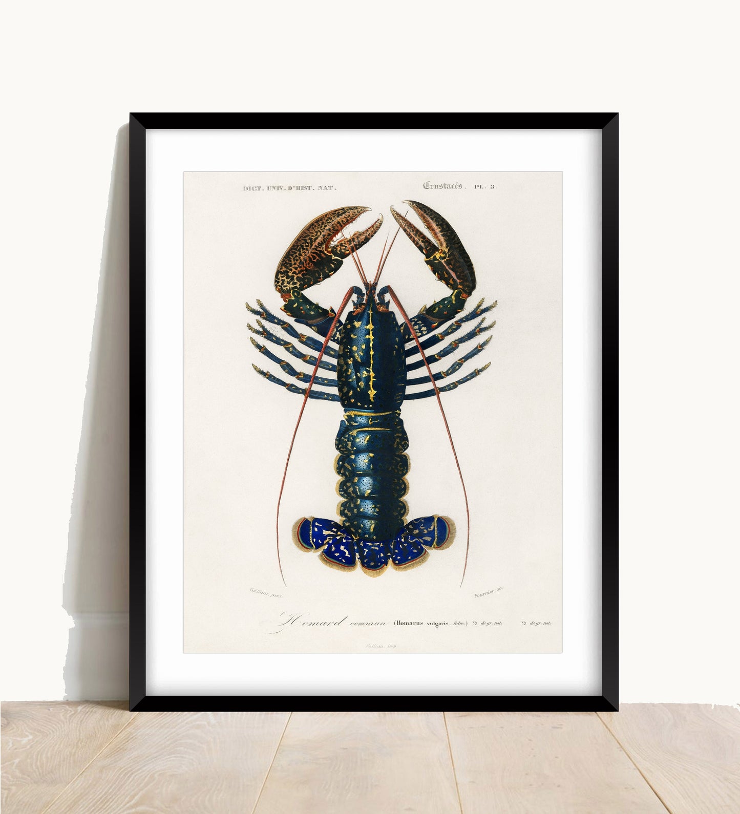 Lobster Print: Vintage Kitchen Wall Art