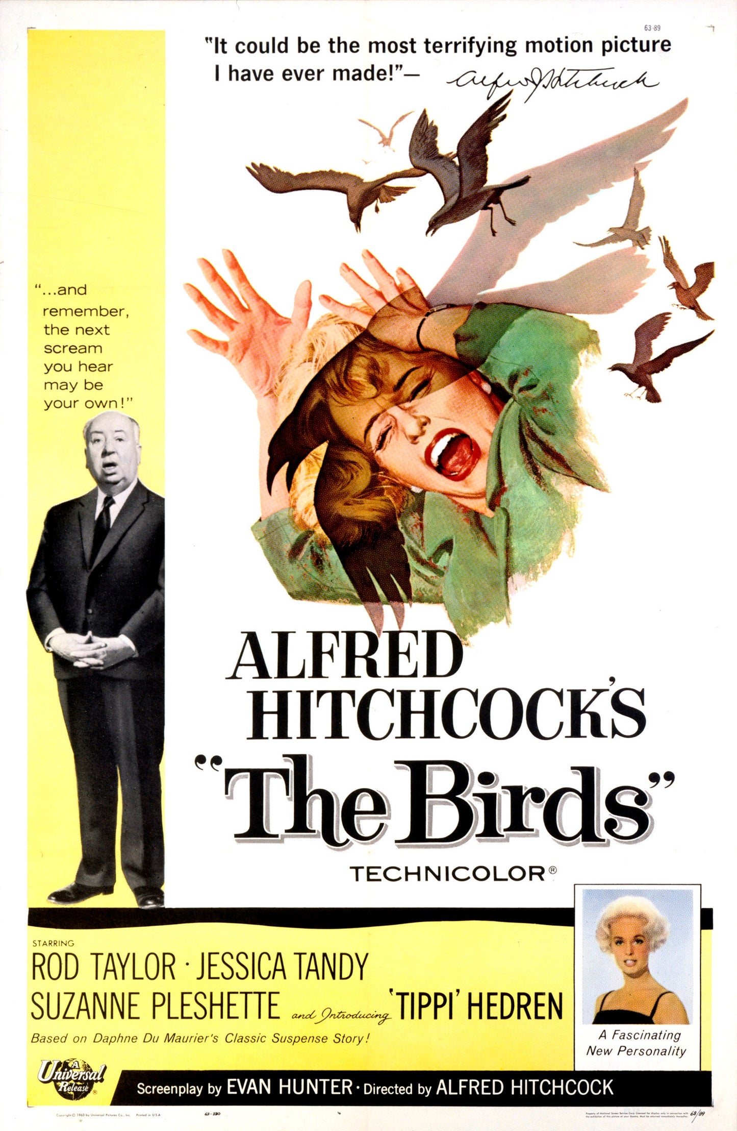 Alfred Hitchcock's 'The Birds' Movie Poster, Vintage Cinema Style
