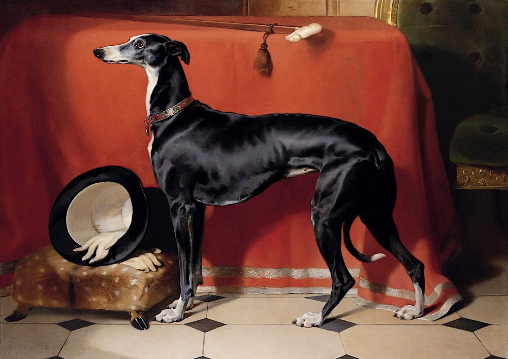 Vintage Greyhound Print: Edwin Henry Landseer, Black Dog Art