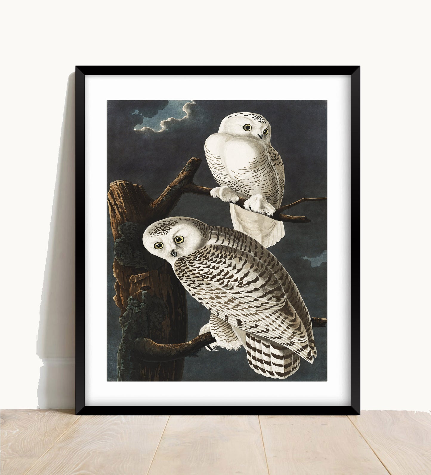 Audubon Owl Print: Vintage Bird Illustration, Naturalist Wall Art