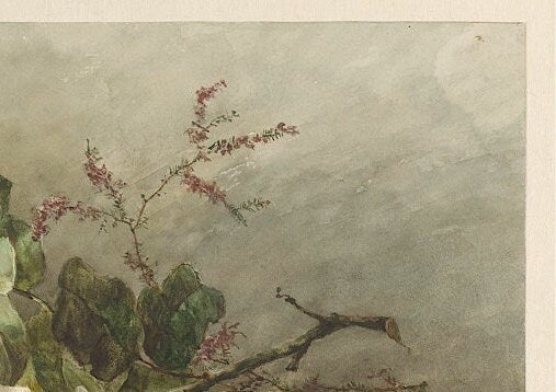 Vintage Rose Art Print by Margaretha Roosenboom