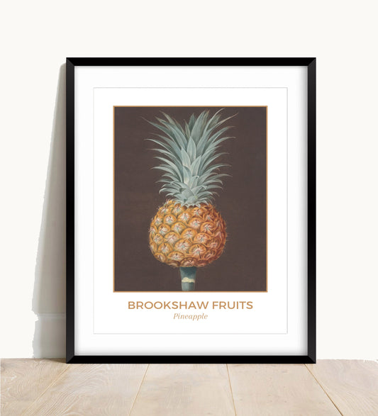 George Brookshaw Pineapple Print